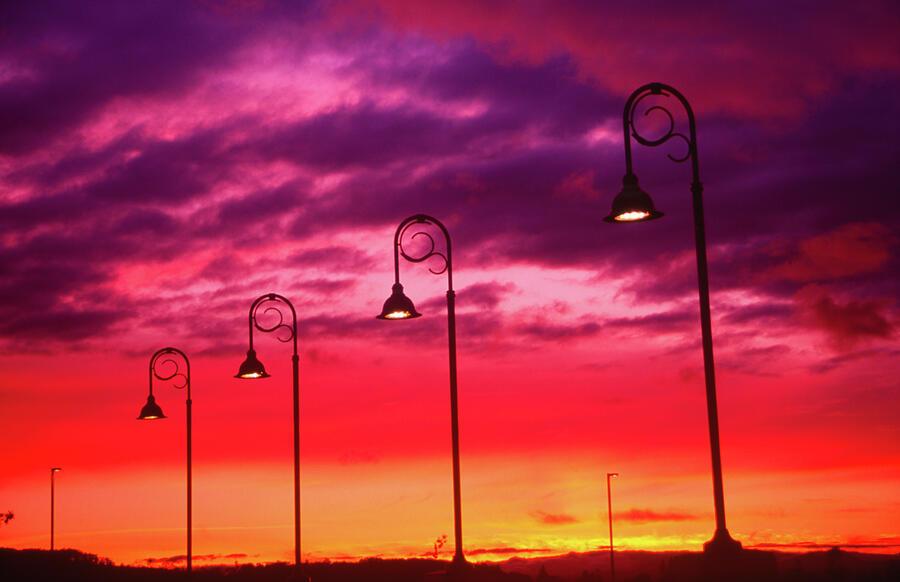 Sunset Photograph - Street Lamps by Joe Klune