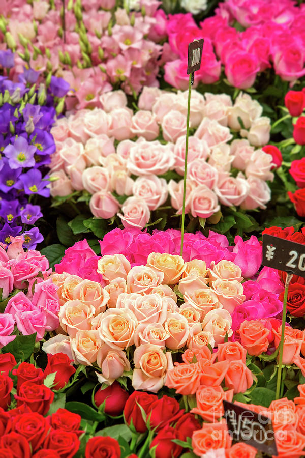 Street market in Osaka, Japan. Closeup showing an array of bouquets in various colours and varieties at at flower stall. Photograph by Jane Rix