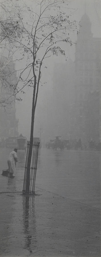 Street Sweeper and Little Tree Photograph by Alfred Stieglitz