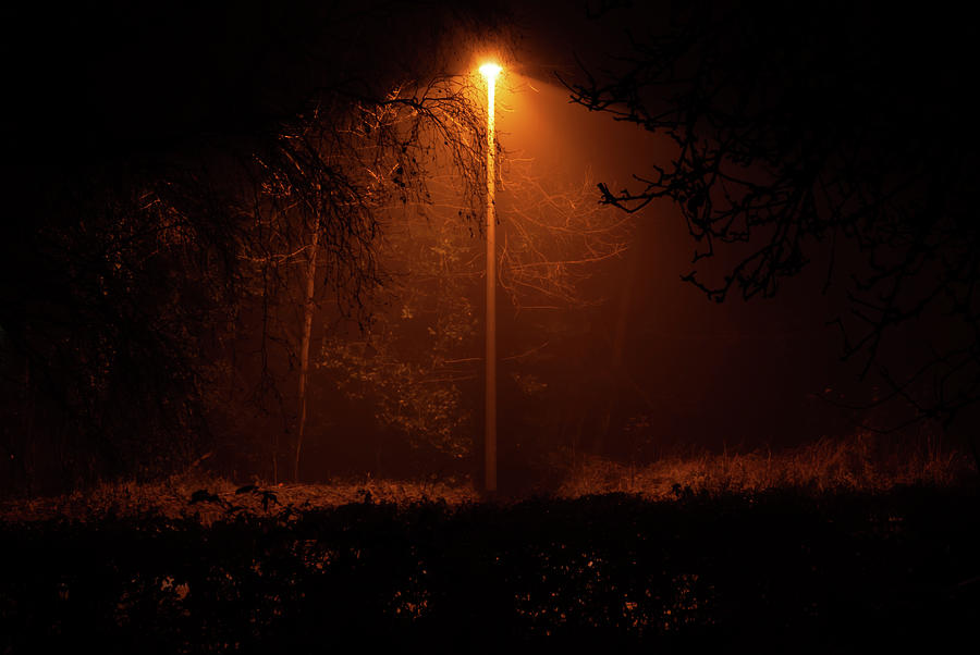 Streetlight of danger Photograph by Average Images