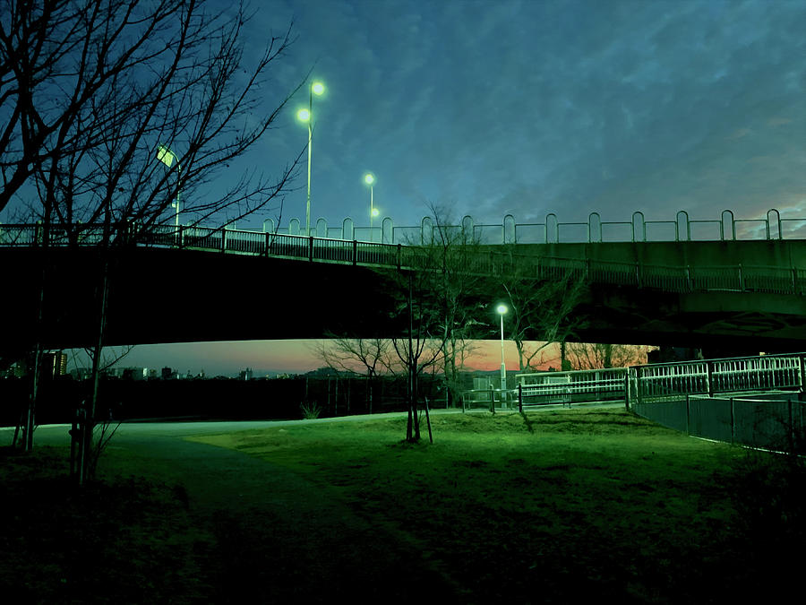 Light Digital Art - Streetlights by Toyo