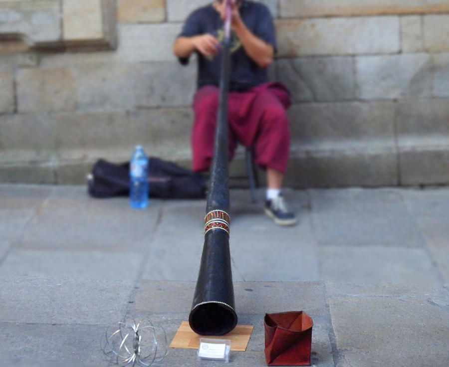 Streetmusician didgeridoo Photograph by Japatino