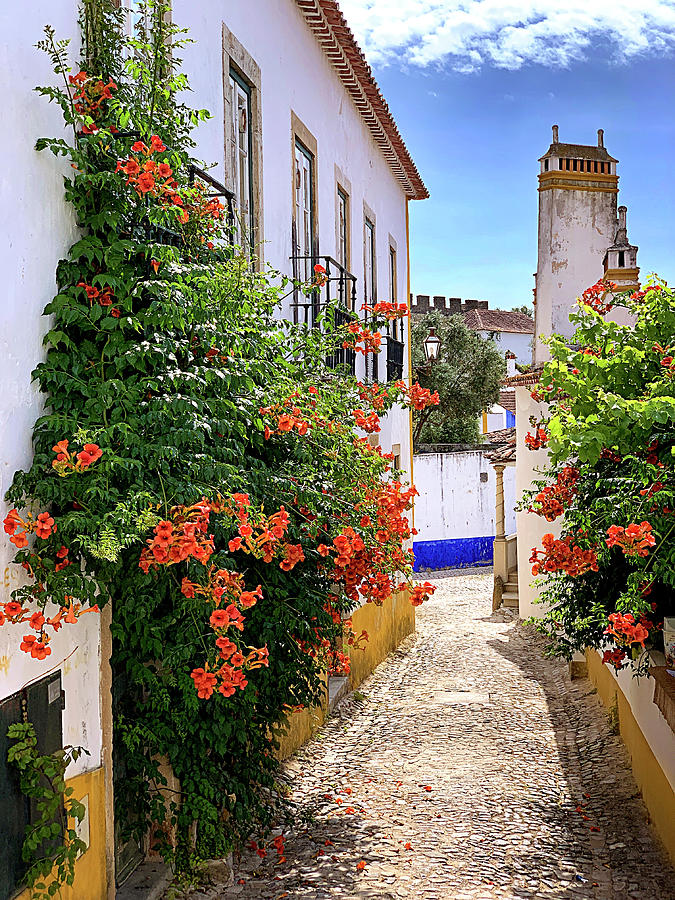 Streets of Obidos Photograph by Jill Love