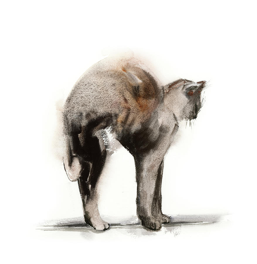 Stretching Cat Painting
