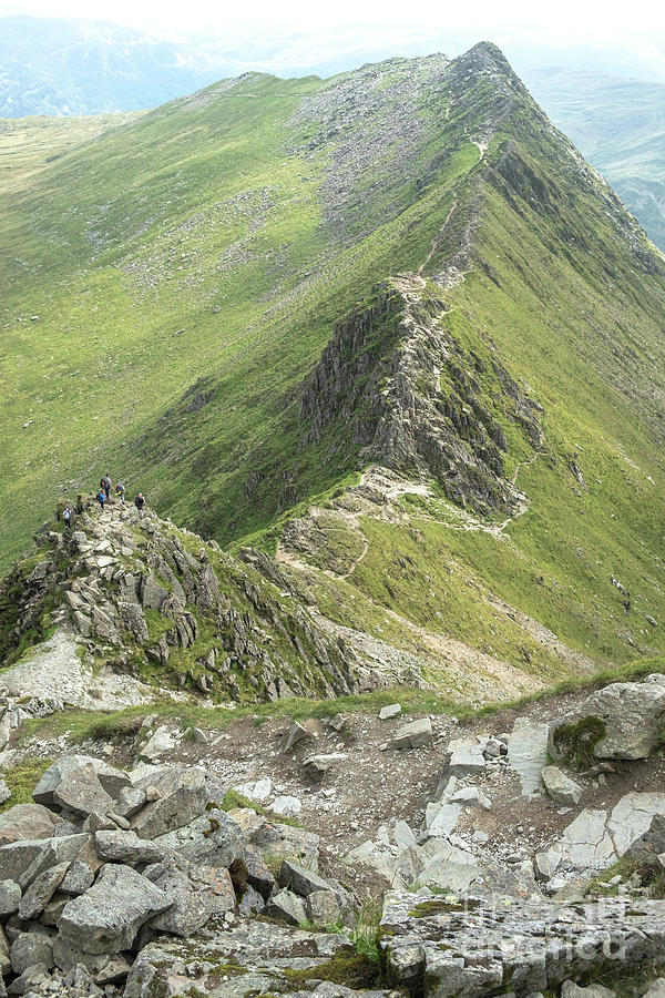 Striding Edge viewed from Helvellyn Photograph by Martin Williams