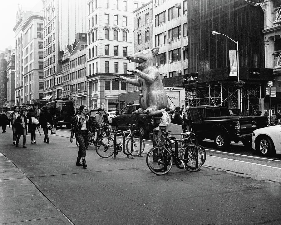Strike, New York, New York Photograph by Eugene Nikiforov