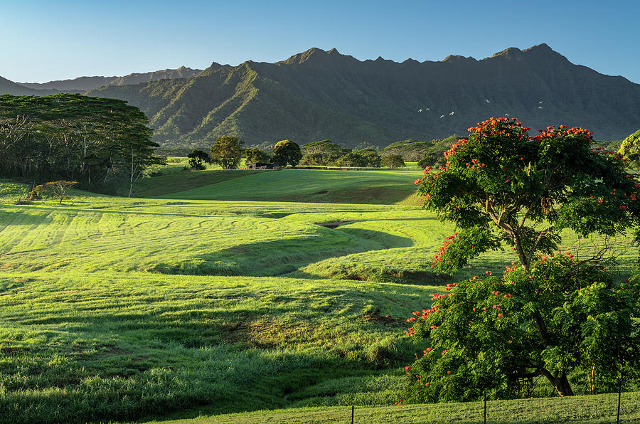 Striking landscape of Jurassic garden island of Kauai Photograph by Steven Heap