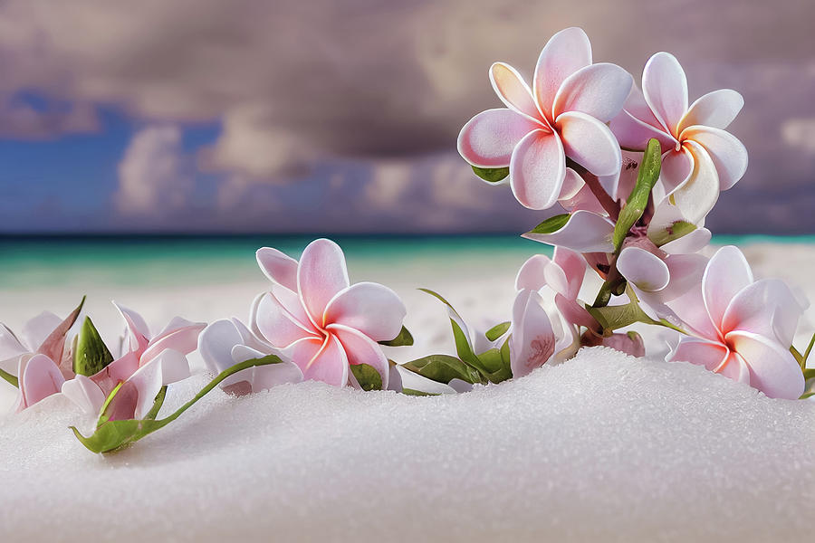 String Of Plumerias Beached Photograph by Athena Mckinzie - Fine Art ...