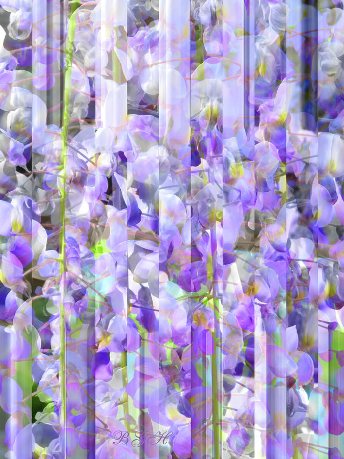 Wisteria Blossoms - Abstract Floral - Flower Photography - Manipulated Images Photograph by Brooks Garten Hauschild