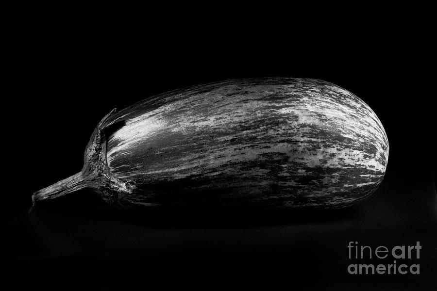 Still Life Photograph - Striped Eggplant BW by Elisabeth Lucas