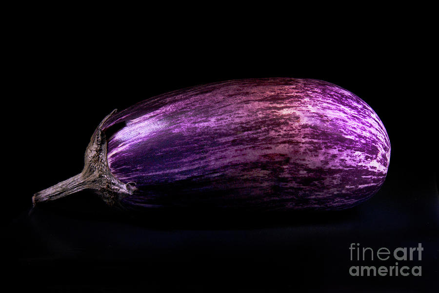 Still Life Photograph - Striped Eggplant by Elisabeth Lucas