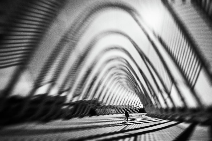 Striped Existence Photograph by Yancho Sabev Art