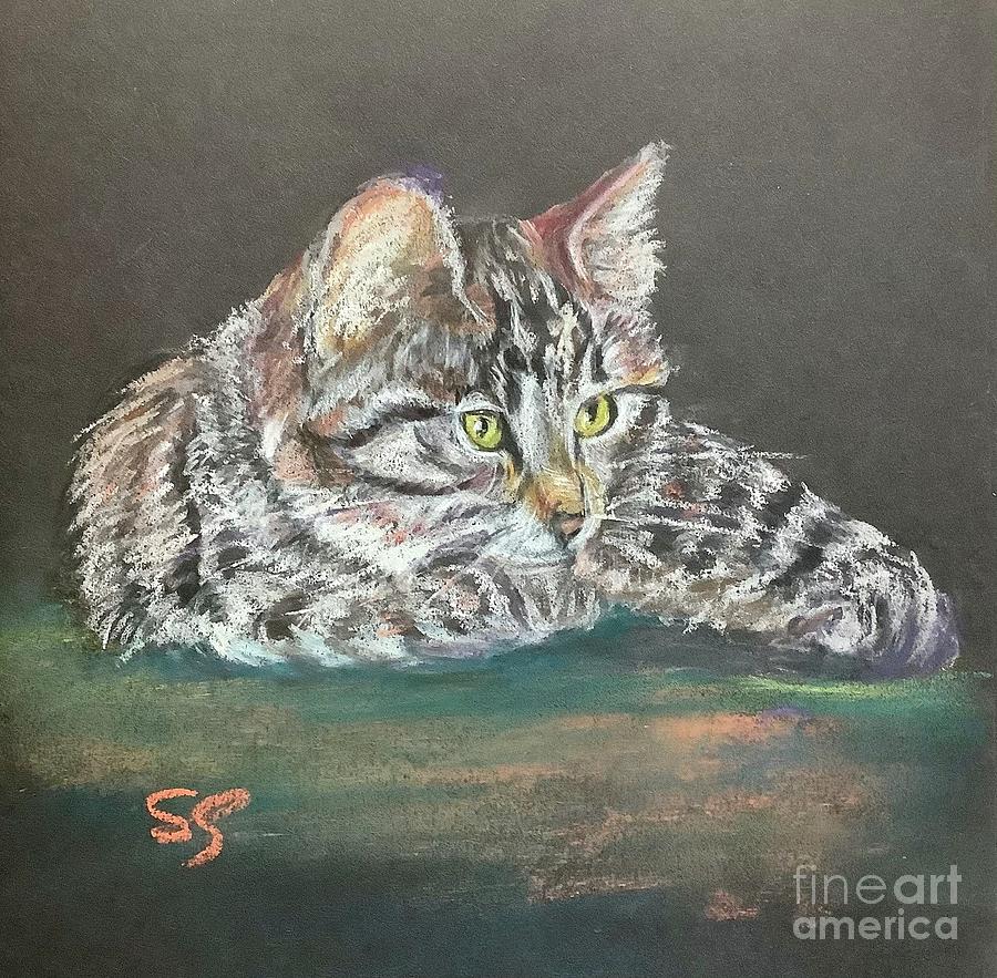 Striped Kitty Sketch Pastel by Susan Sarabasha