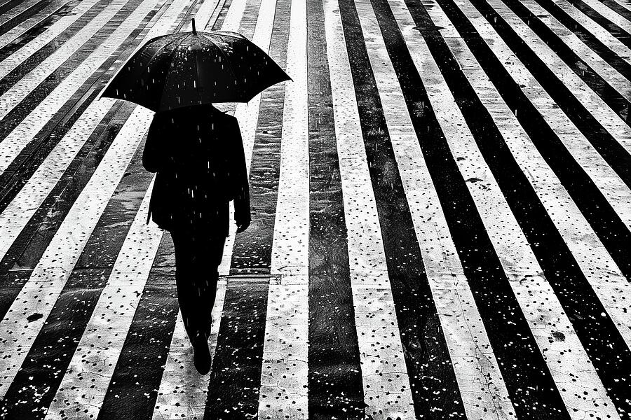 Stripes 01 Monochrome Composition Digital Art by Matthias Hauser Stripes 01 Monochrome Composition Digital Art by Matthias Hauser