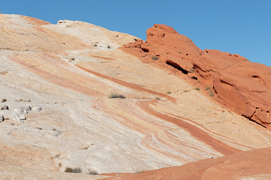 Stripes of Valley of Fire Photograph by Mary Hone
