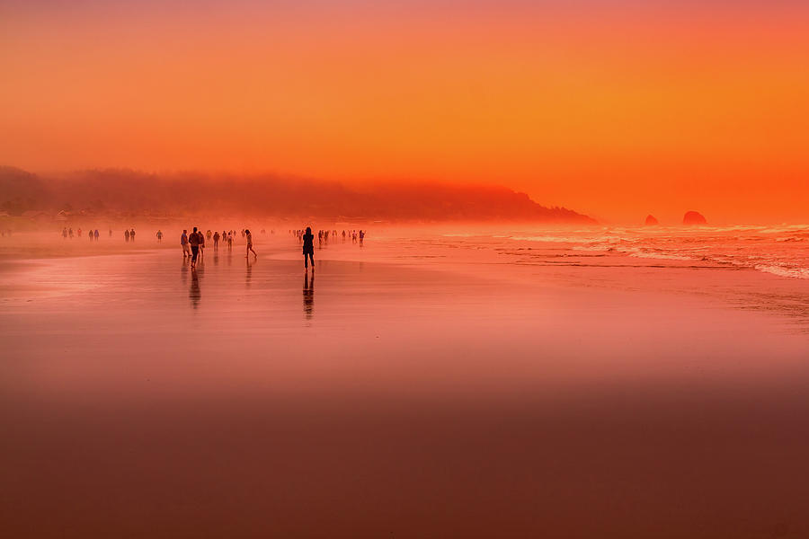 Strolling at Sunset Photograph by David Patterson