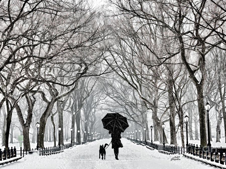 Strolling in the Park NYC Digital Art by CAC Graphics