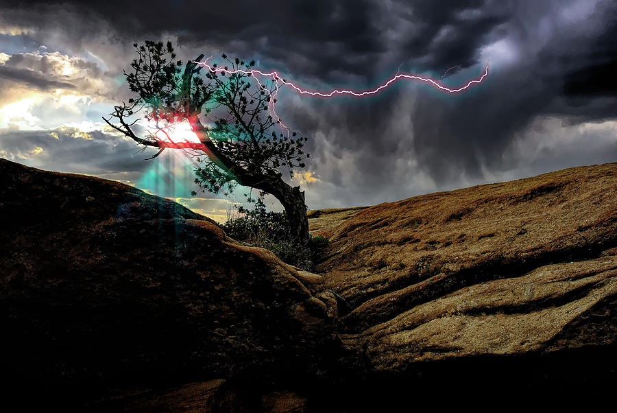 Struck by Lightning Photograph by Harry Spitz