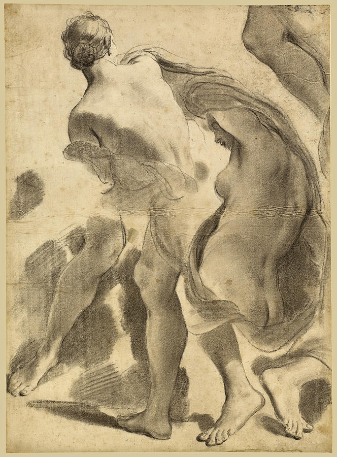 Studies of Female Nudes Drawing by Gaetano Gandolfi