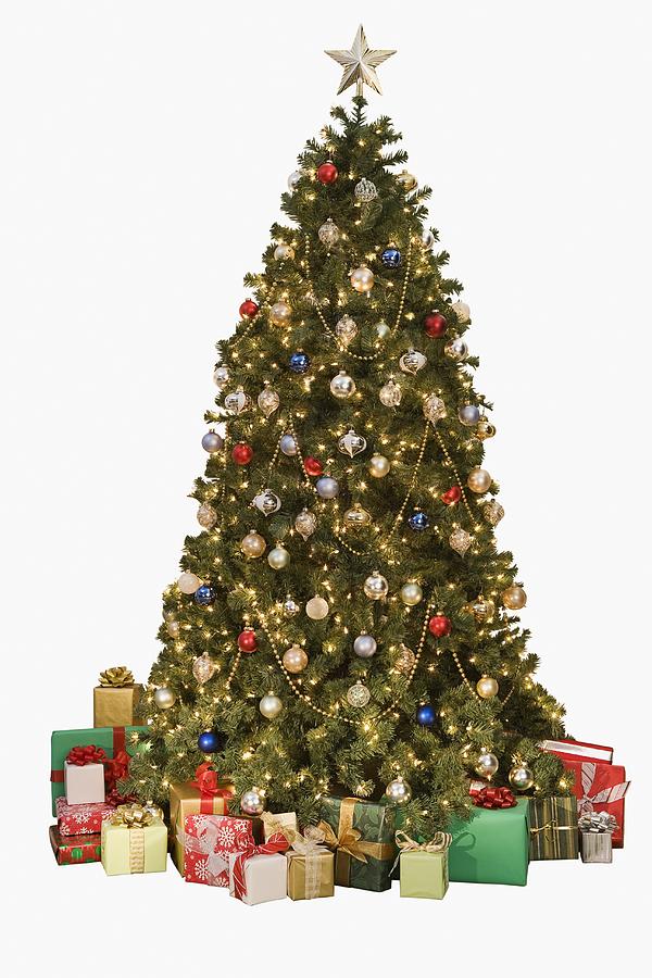 Studio shot of Christmas tree with gifts Photograph by Tetra Images