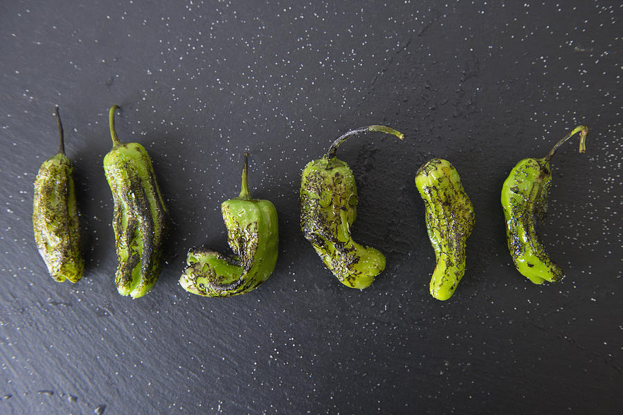 Studio shot of grilled shishito peppers Photograph by Jamie Grill