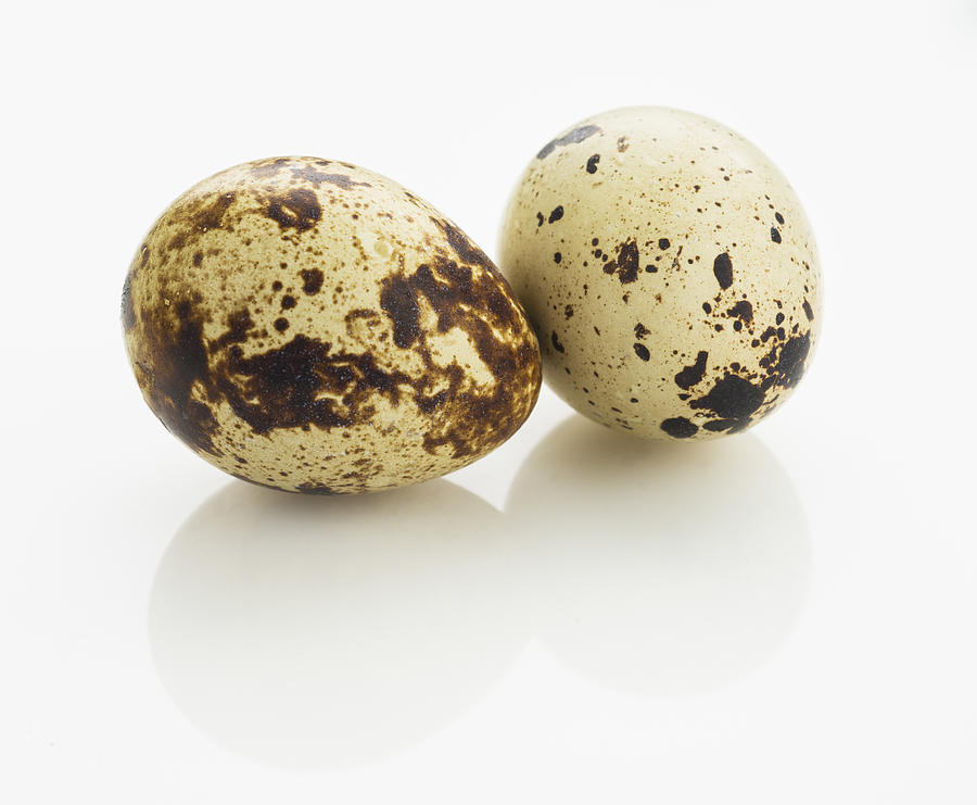 Studio shot of quail eggs Photograph by Tetra Images
