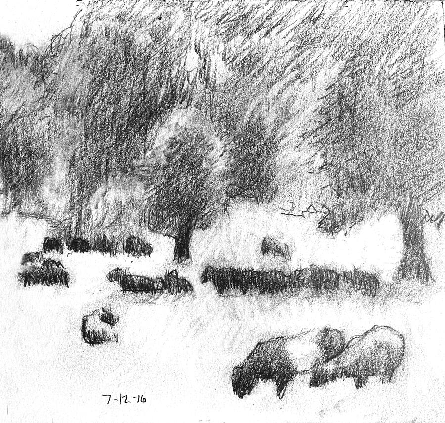 Study for Ravenous Galloways Drawing by David Zimmerman