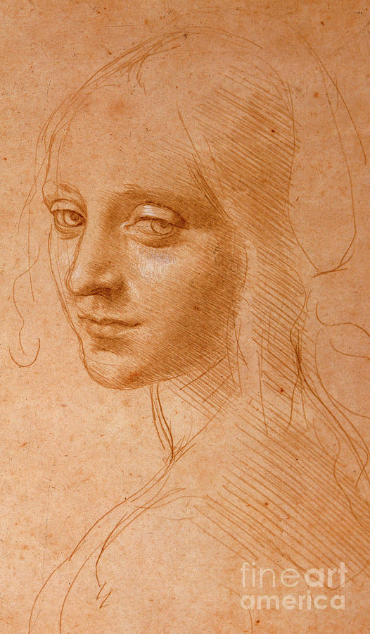Madonna Drawing - Study for the Angel of the Virgin of the Rocks by Leonardo da Vinci