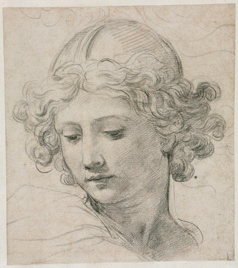 Study for the Head of St. Michael  Drawing by Pietro da Cortona