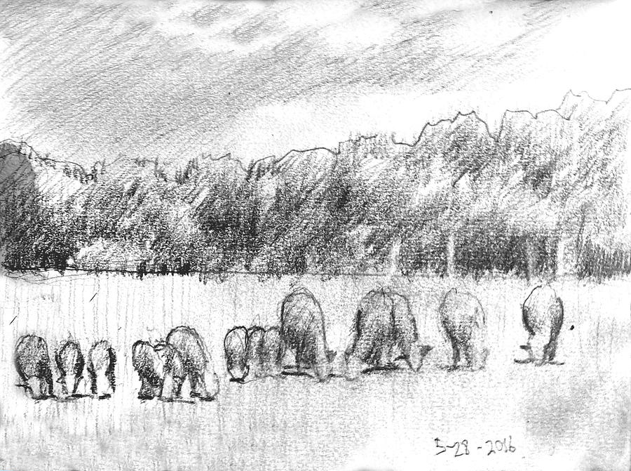 Study for the Herd Shot Round the World Drawing by David Zimmerman