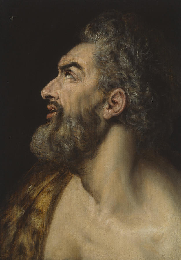 Study Head of a Bearded Man Painting by Frans Floris