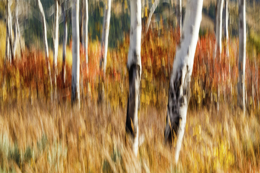 Study In Abstract No. 12, Grand Teton Photograph by Ann Skelton