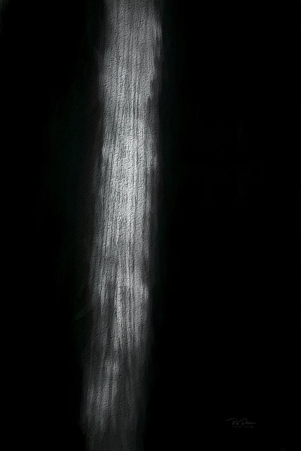 Study in Light -Woodflow Photograph by Bill Posner