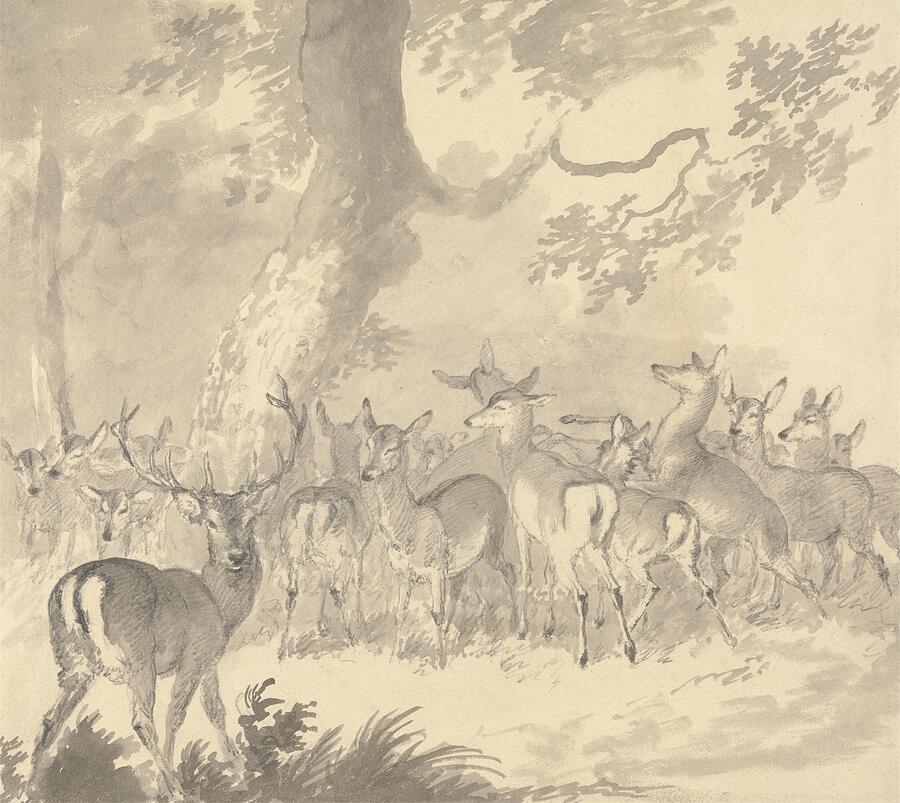 Deer Painting - Study of a Deer Stag in Foreground with a Group of Does and Fawns Under a Tree by Robert Hills English