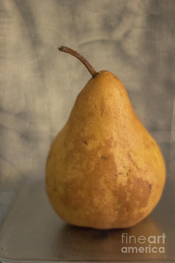 Still Life Photograph - Study of a Pear by Colleen Kammerer