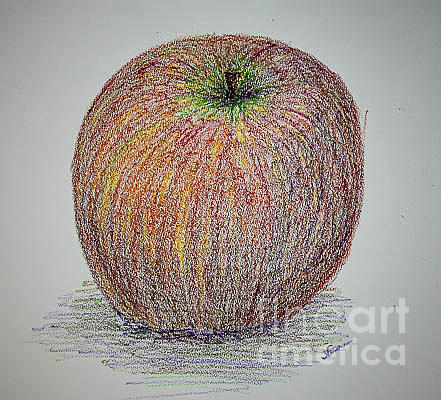 Study of An Apple Drawing by Nicole Robles
