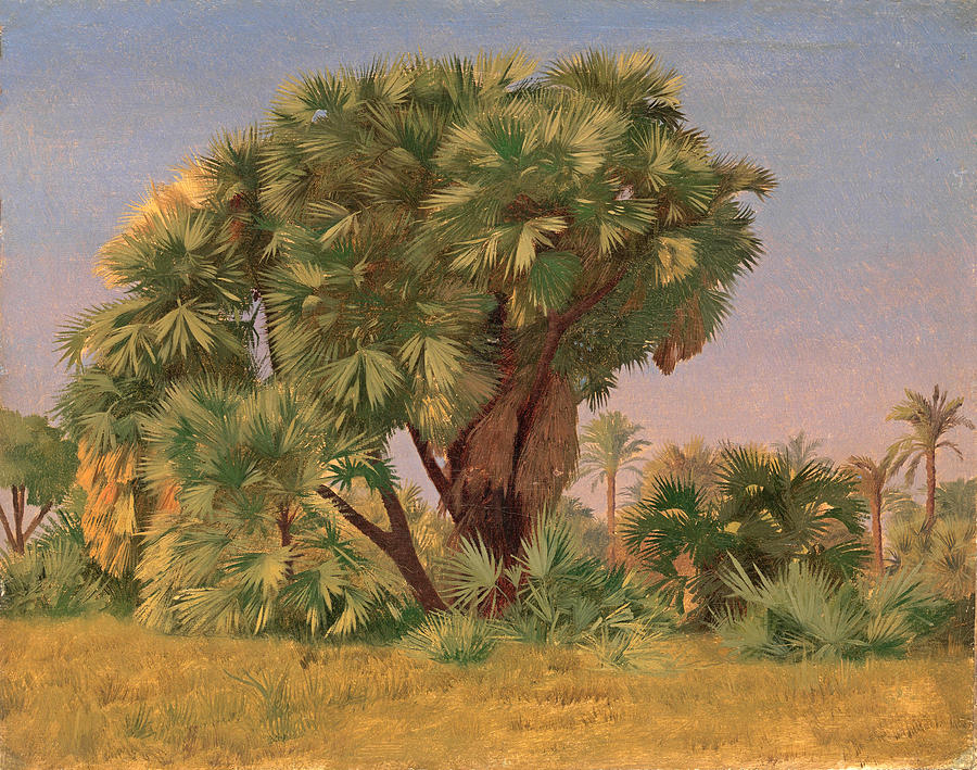 Study of Palm Trees Painting by Jean-Leon Gerome