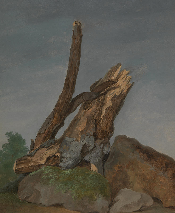 Study of Rocks and Branches Painting by George Augustus Wallis