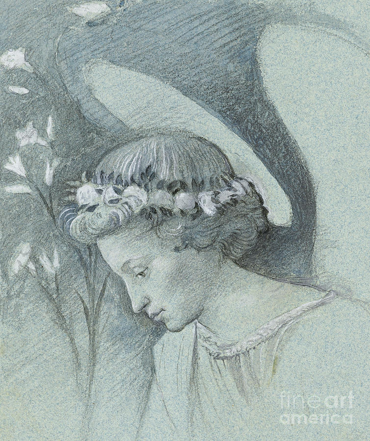 Study of the Head of the Angel Gabriel  Drawing by John Ruskin