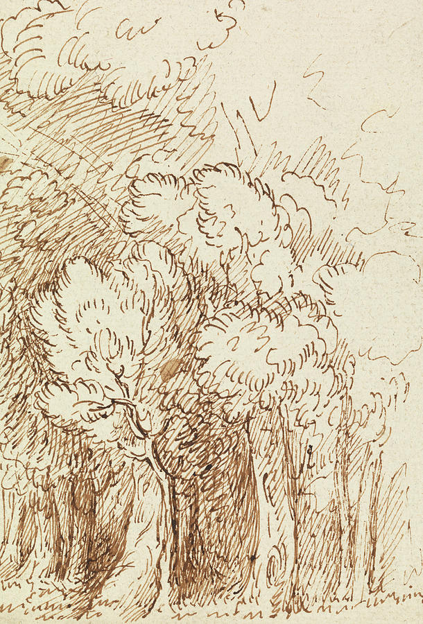 Study of Trees Drawing by Benjamin West