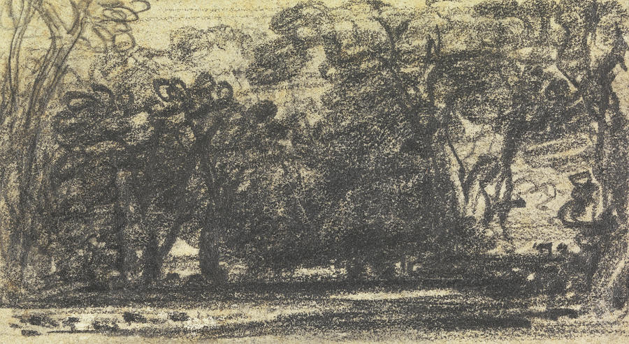 Study of Trees Drawing by John Varley