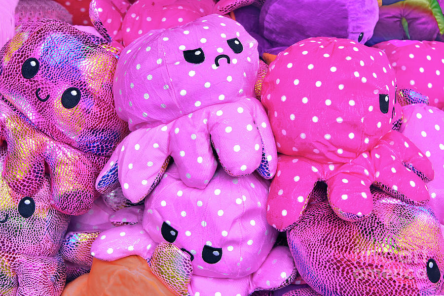 Stuffed Octopus Anyone? Photograph