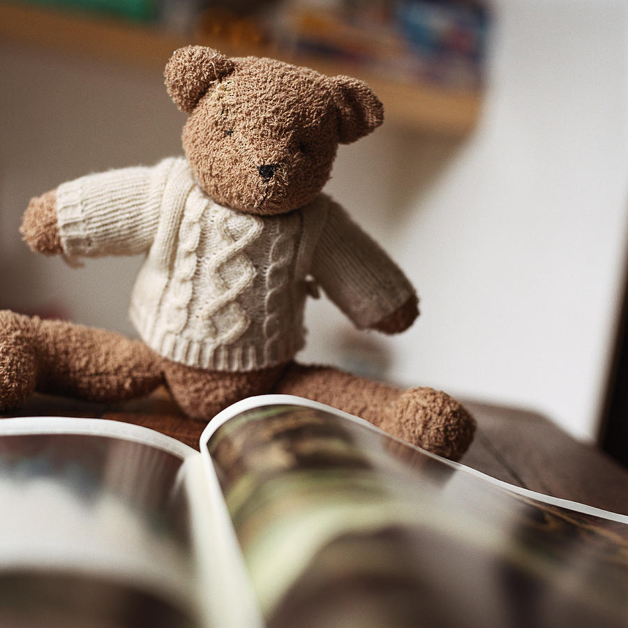 Stuffed teddy bear looking at book. Photograph by Christian Zachariasen