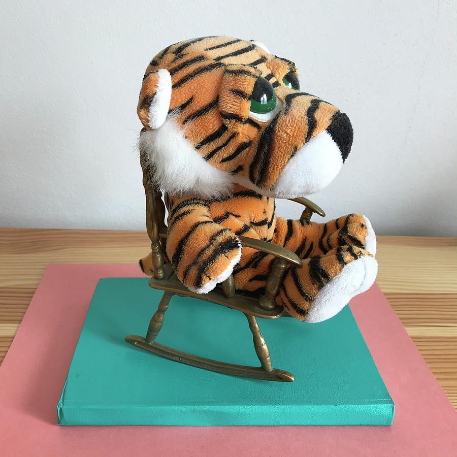 Stuffed Tiger on a Rocking Chair Photograph by Jan Dolezal