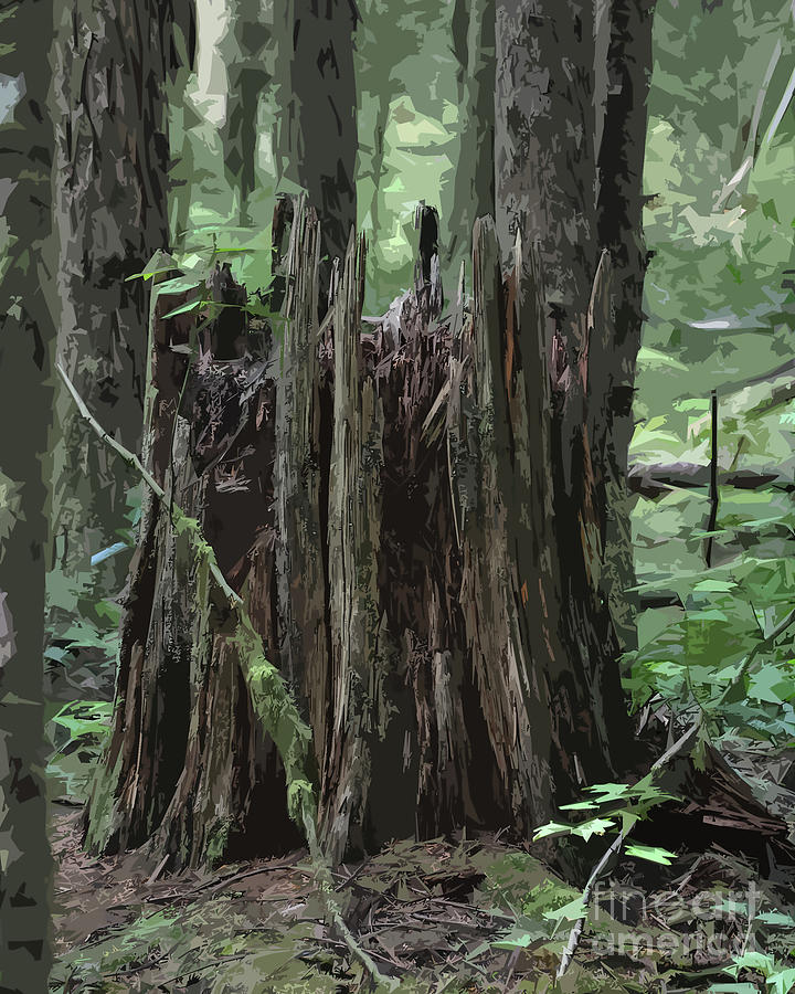 Stump In The Forest Digital Art by Kirt Tisdale