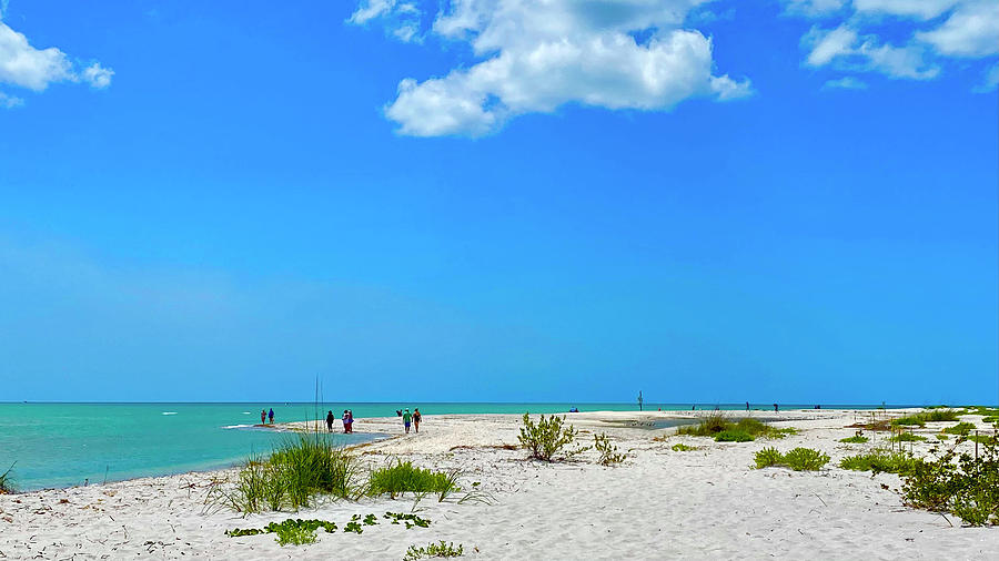 Stump Pass Beach Photograph By Virginia Howell Pixels