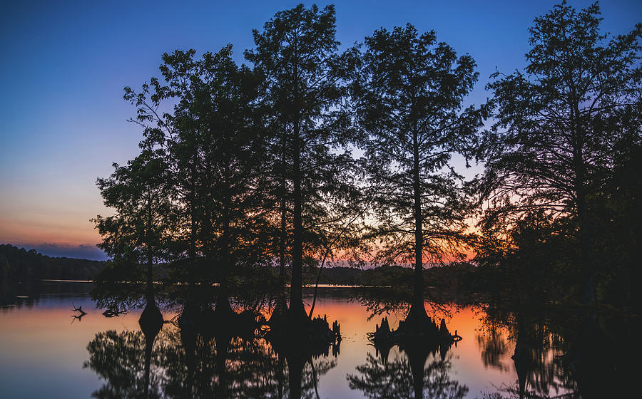 Stumpy Lake at Virginia Beach Photograph by Amrth Ganapathy - Fine Art ...