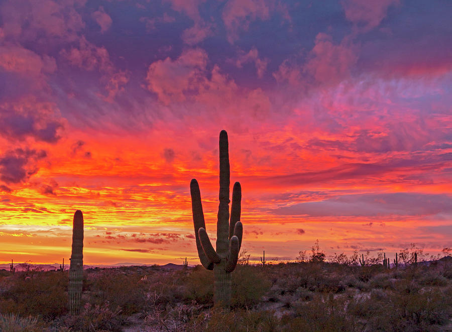 Stunning Desert Sunset Landscape With Colorful Clouds Photograph by Ray ...