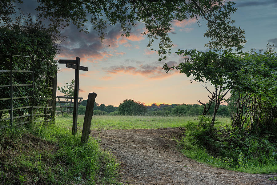 Stunning English countryside Summer sunset landscape image with