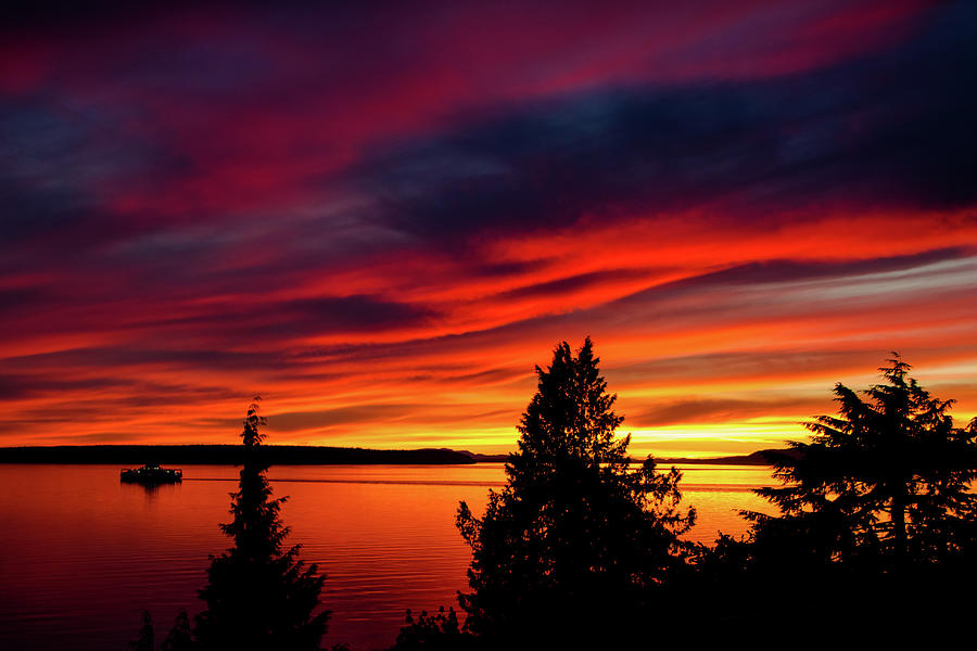 Stunning Powell River sunset Photograph by Michelle Pennell